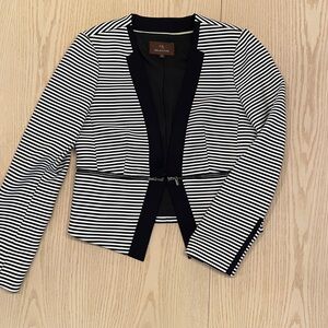 Navy Blue and White Striped Blazer